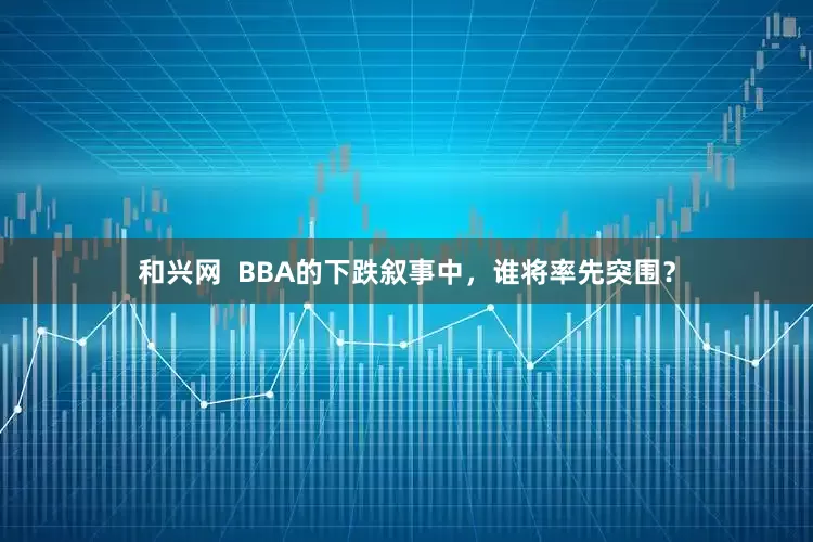 和兴网  BBA的下跌叙事中，谁将率先突围？